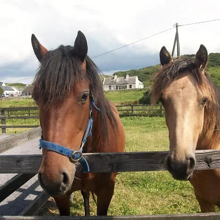 O'connor's Bed & Breakfast