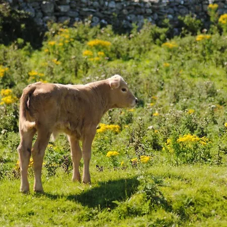 O'connor's Bed & Breakfast