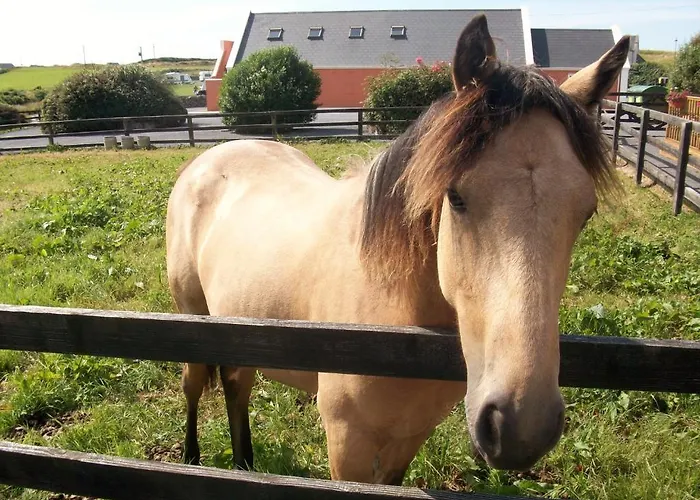 O'connor's Frühstückspension