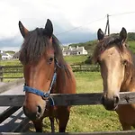 O'connor's Bed & Breakfast