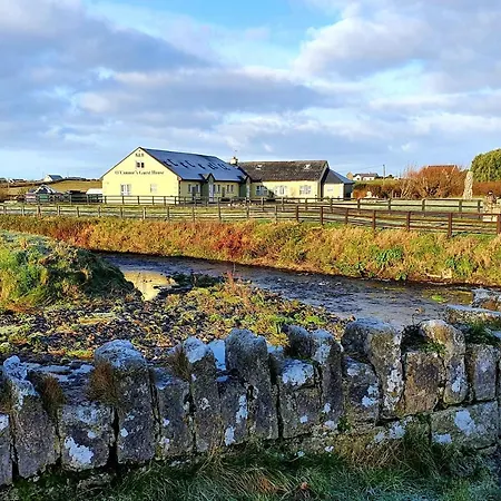 Bed & Breakfast O'Connor'S Accommodation 3*
