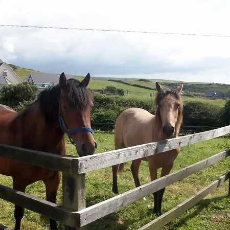 O'Connor'S Accommodation 3*