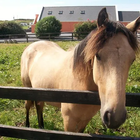 O'connor's לינה וארוחת בוקר