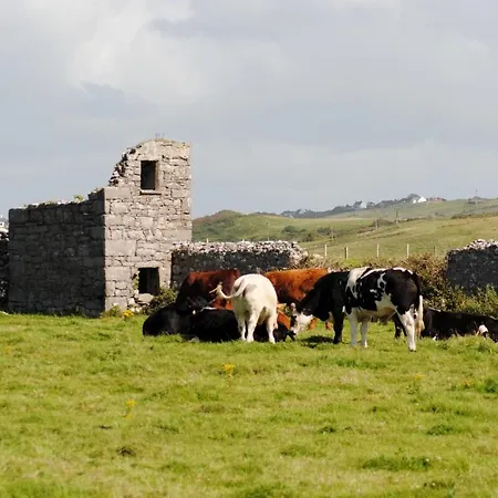 O'Connor'S Accommodation Doolin