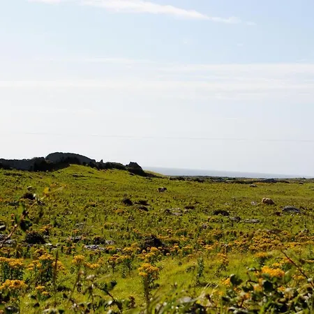 O'Connor'S Accommodation Bed & Breakfast Doolin