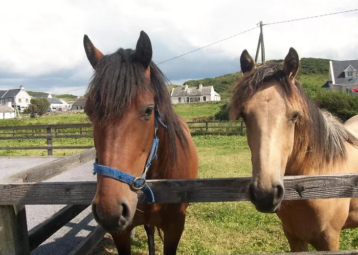 O'connor's 住宿加早餐酒店