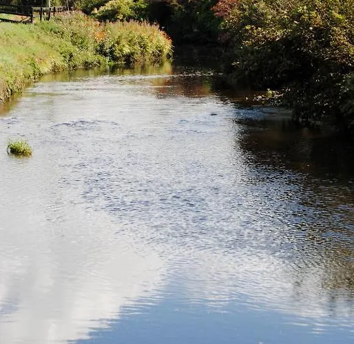 לינה וארוחת בוקר O'connor's