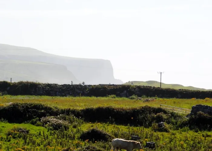 לינה וארוחת בוקר O'connor's