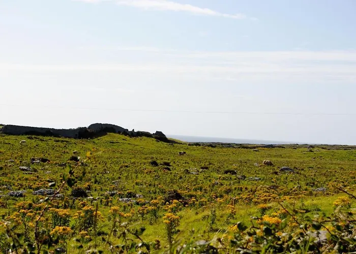 O'connor's Bed & Breakfast Doolin