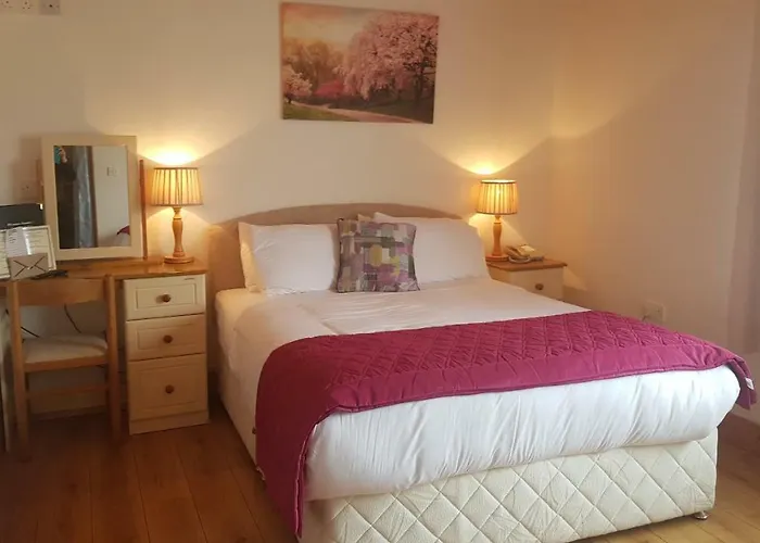 לינה וארוחת בוקר O'connor's דולין